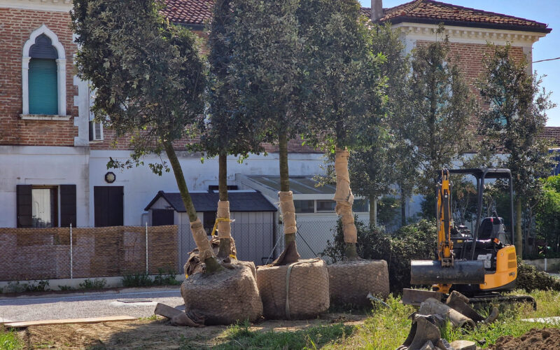selezione piante progettazione e realizzazione giardini 6