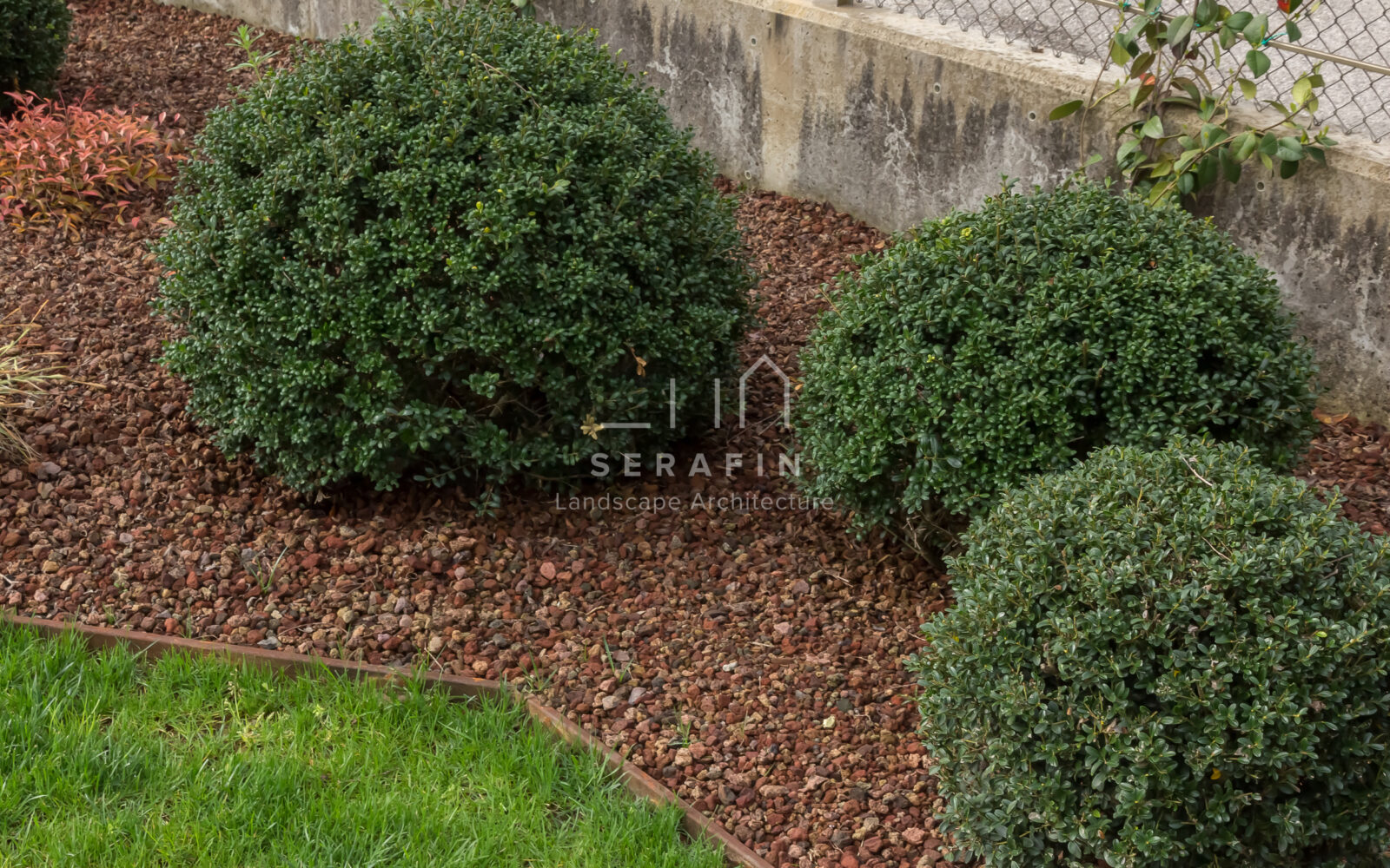 progetto di un giardino privato a padova -14