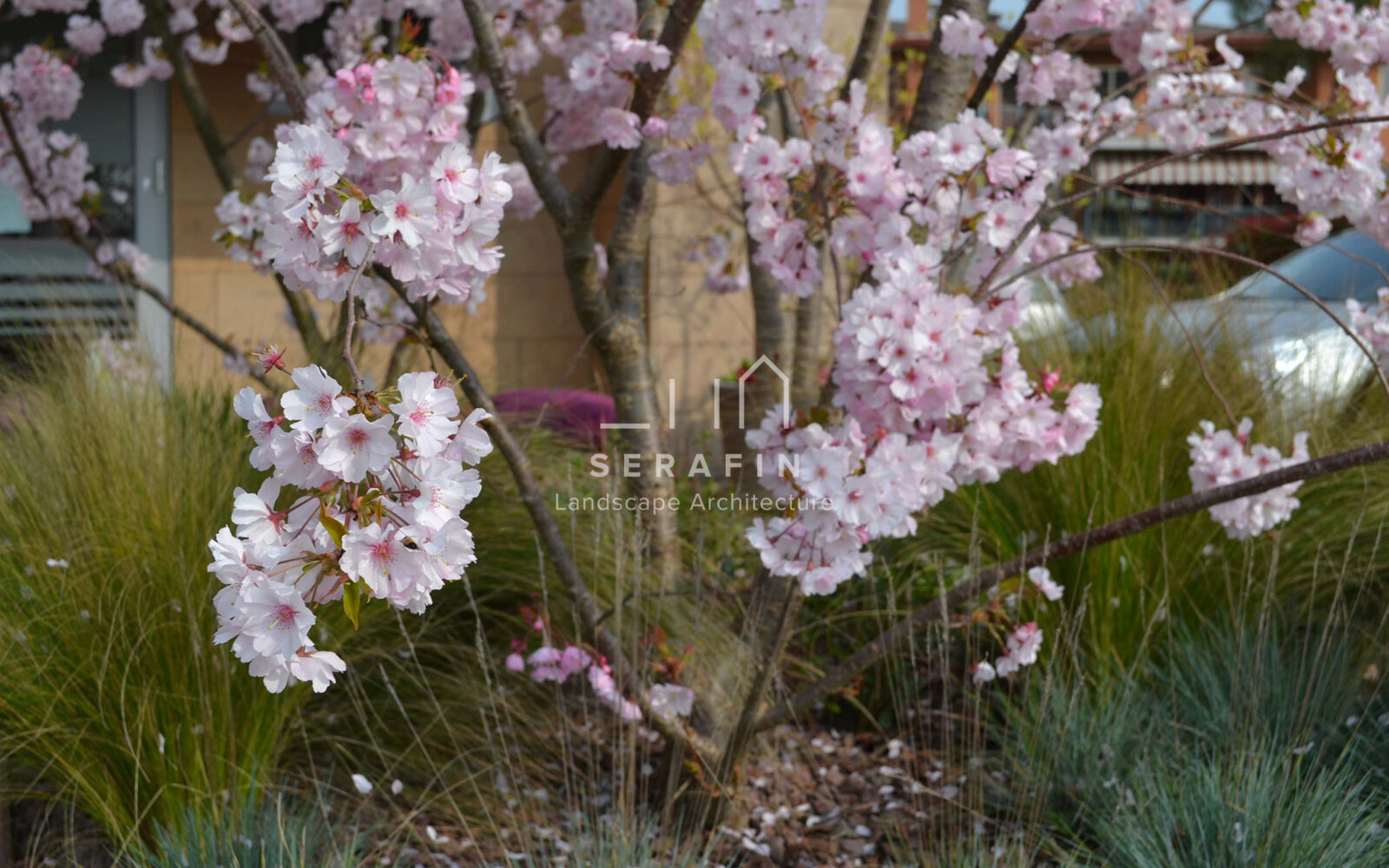 outdoor floral installation for a beauty salon in San Stino di Livenza