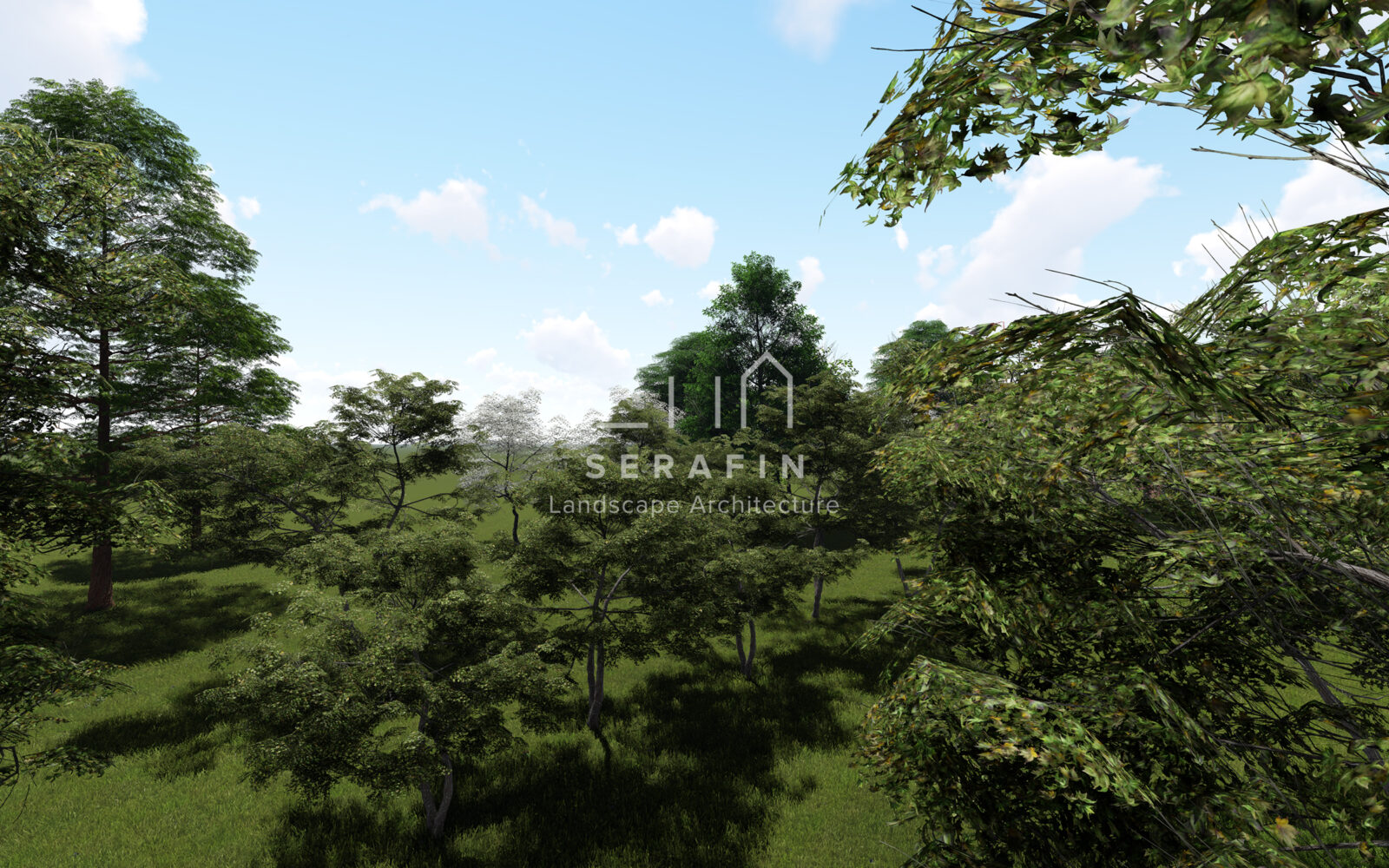 progetto parco per azienda agricola - 5