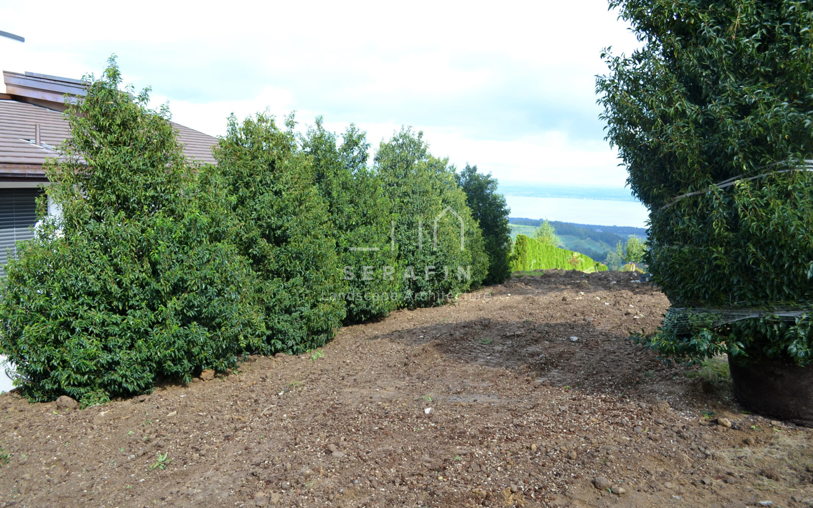 progetto di un giardino di lusso per una villa sul lago in svizzera - 12