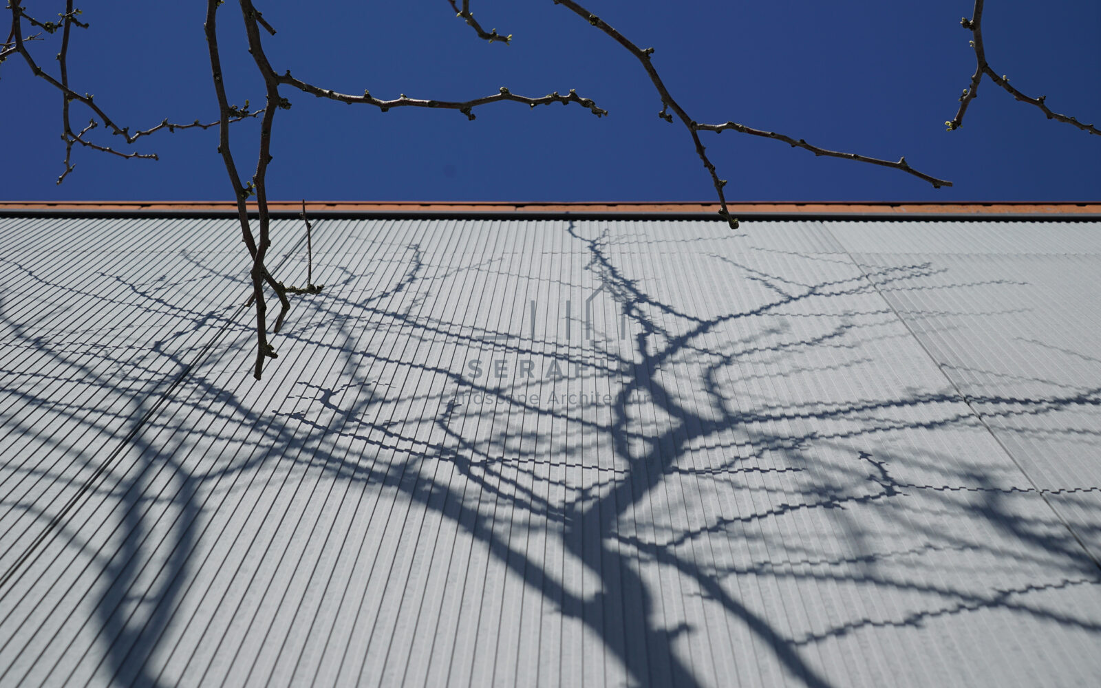 corporate garden redevelopment project in Conegliano - 6