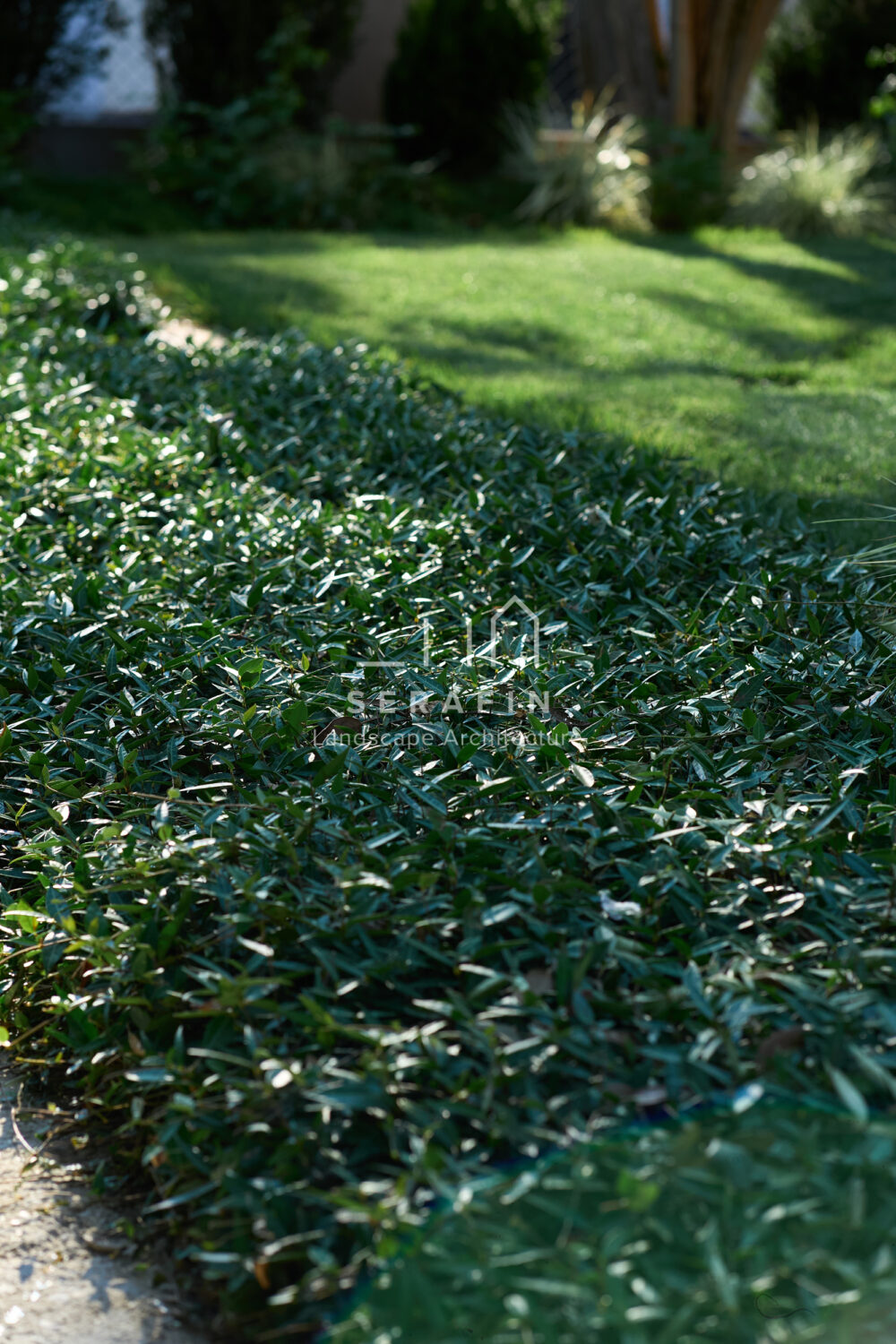 progettazione e realizzazione di un giardino di lusso a Mogliano Veneto
