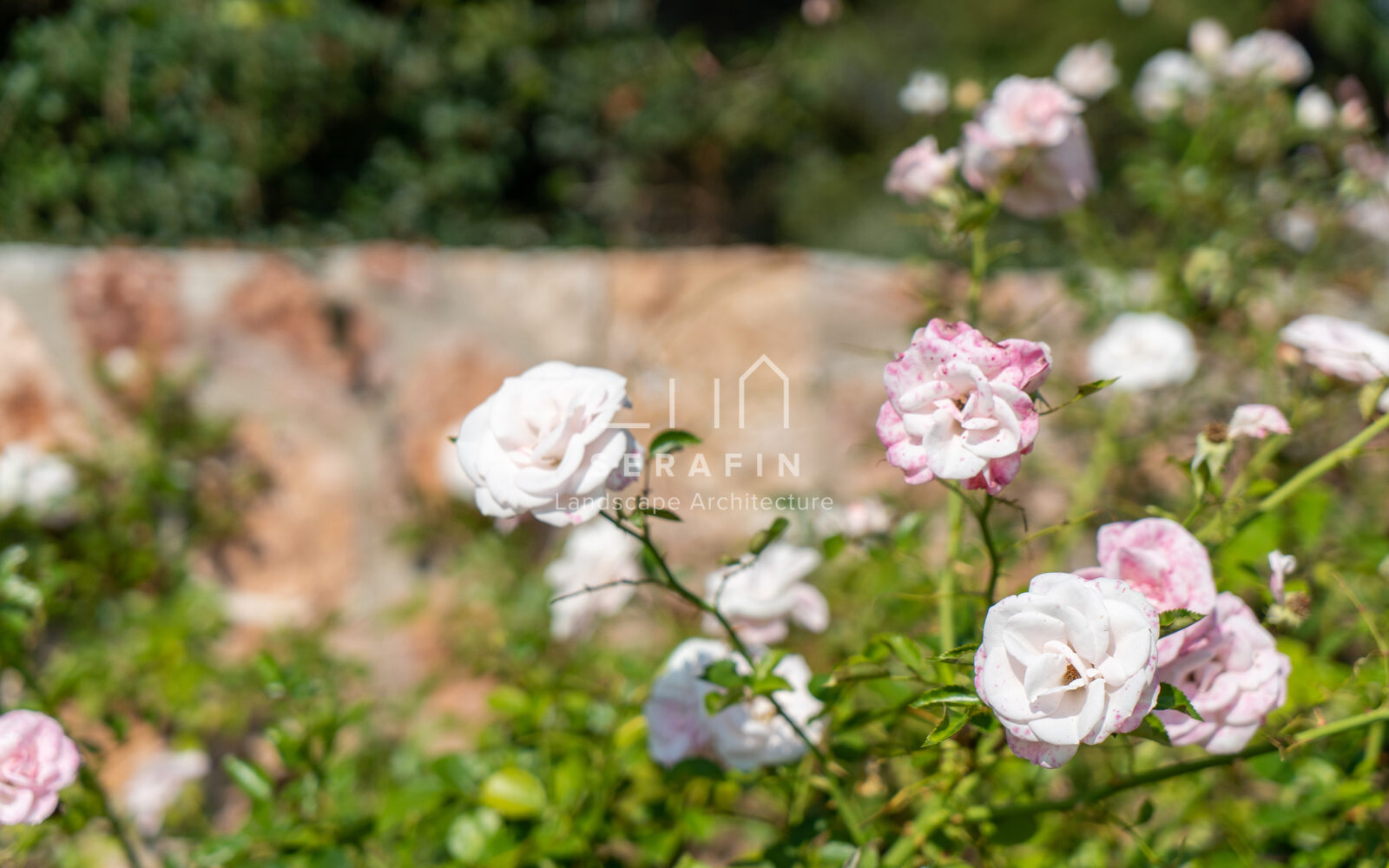 progetto giardino di lusso a Tregnago di Verona - 11
