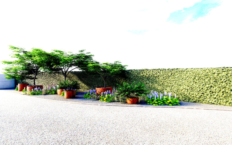 progetto giardino privato a Oderzo - preview