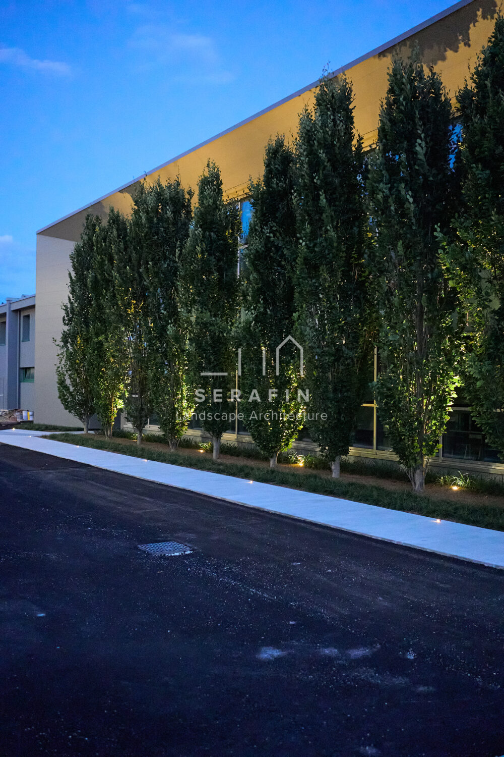 immagine del progetto di un giardino aziendale con parcheggio a San Polo di Piave