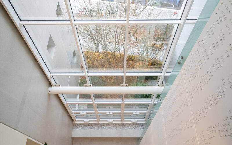 giardini pensili e indoor progettazione e realizzazione giardini 2