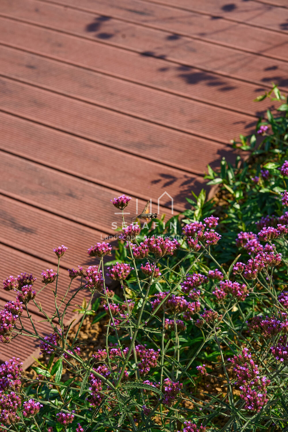 immagine del progetto di un giardino privato di lusso con pergotenda bioclimatica a Treviso