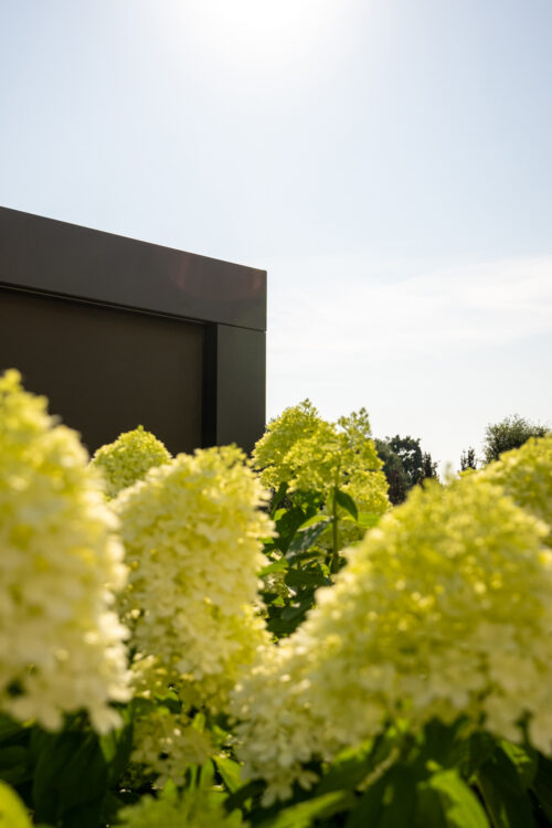 pergotende bioclimatiche progettazione e realizzazione giardini 1
